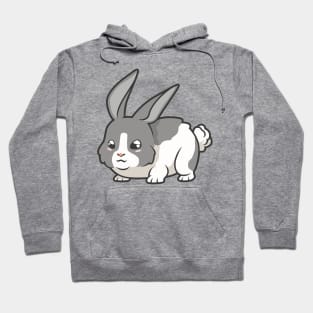 Kawaii rabbit Hoodie